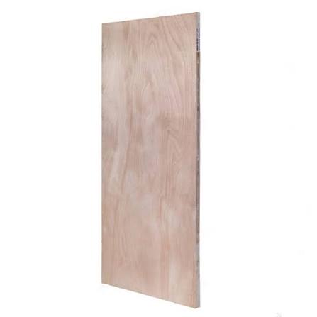 Fire Rated Plywood Faced Door Blank